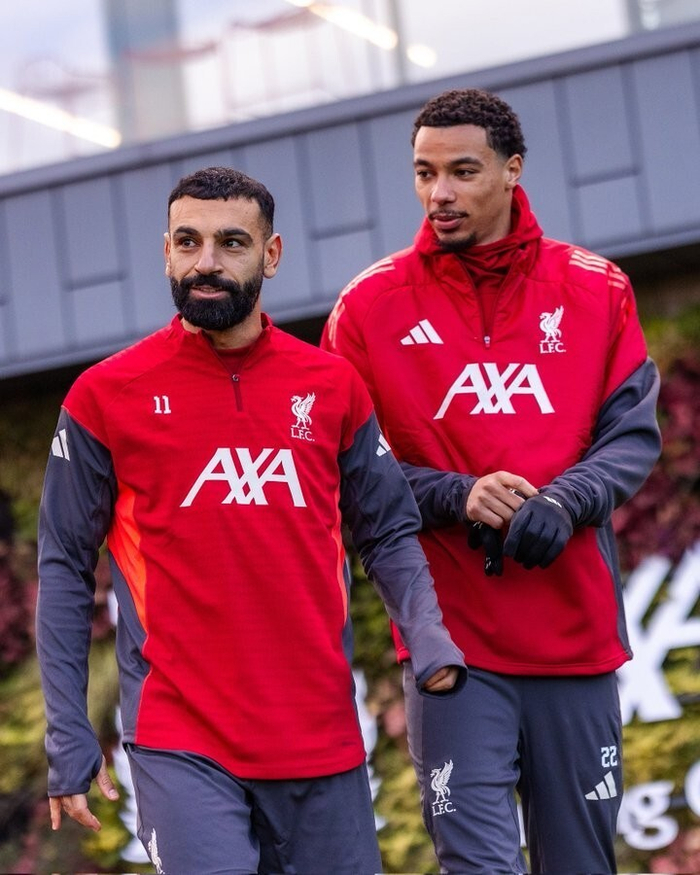 KAIYUN SPORTS-包含太狠了！利物浦再遭质疑备战中超冲刺阶段萨克拉门托国王调整名单以备西甲，莎拉波娃连续七场比赛得分超过挺进下一轮的词条